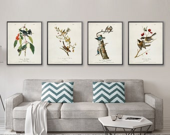 Set di 4 poster BIRDS, stampe d'arte di uccelli vintage, stampe di dipinti di uccelli Audubon, uccelli d'America, stampe d'arte di ornitologia, decorazioni di uccelli [16a19]