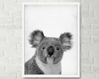 May include: A black and white photo of a koala bear in a white frame hanging above a white crib with a brown teddy bear sitting in front of it.