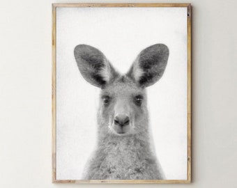 Baby KANGAROO Print, Baby Kangaroo Photo art poster, Cute baby Kangaroo Face print, Australian baby animal, Baby Kangaroo Nursery wall decor