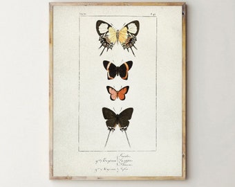 Vintage Butterfly poster, entomology prints, Butterfly illustration Wall art poster, Butterfly wall art print, Butterfly watercolor art [18]