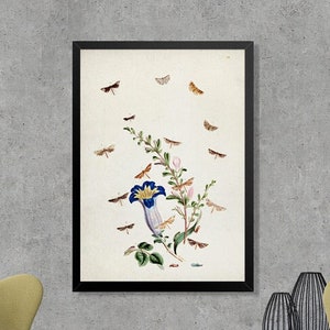Botanical Art, Butterfly Vintage illustration print, Butterfly and Botanical poster, Botanical Wall art poster, Butterfly wall art print [1]