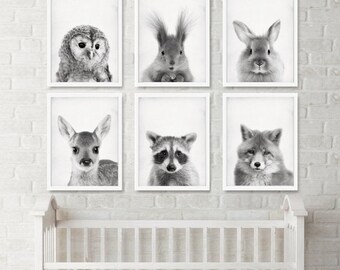 Baby FOREST Animals 6 poster set, kit of 6 baby owl, squirrel, rabbit, deer, raccoon, fox vintage print effect, cute face baby animal prints