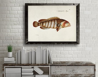 Vintage Fish print, Marine life artwork, Vintage Fish Illustration Poster, Fish Watercolor art, Fish poster wall decor, fishing lover [41]
