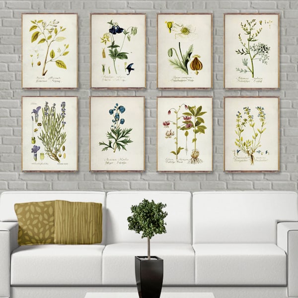 Ensemble de 8 affiches vintage BOTANIQUES, ensemble de 8 impressions botaniques, oeuvre d'art botanique, aquarelle botanique, affiche lavande, décoration murale botanique