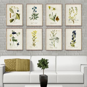 Ensemble de 8 affiches botaniques vintage, ensemble de 8 estampes botaniques jaunes et bleues, oeuvre d'art botanique, impression botanique aquarelle, décoration botanique