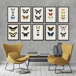 BUTTERFLY 10 poster set, Vintage Butterfly illustration prints, Vintage Butterfly, Butterfly wall decor, Butterfly art print [1-2-3-8-17a22]