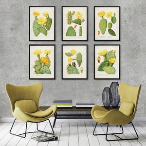 Ensemble minimaliste de 6 impressions CACTUS, affiches vintage de cactus, affiches de cactus tropicaux, décoration murale sur le thème des cactus, aquarelle de cactus [6-10-11-14-16-19
