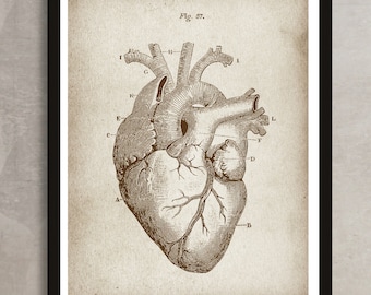 Anatomical HEART poster, Human Heart chart poster, ANATOMY patent print, Heart drawing, Anatomy print, Medical decor, Cardiology decor [422]