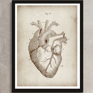 Anatomisch hart poster, menselijk hart grafiek poster, ANATOMIE patent print, hart tekening, anatomie print, medisch decor, cardiologie decor [422]
