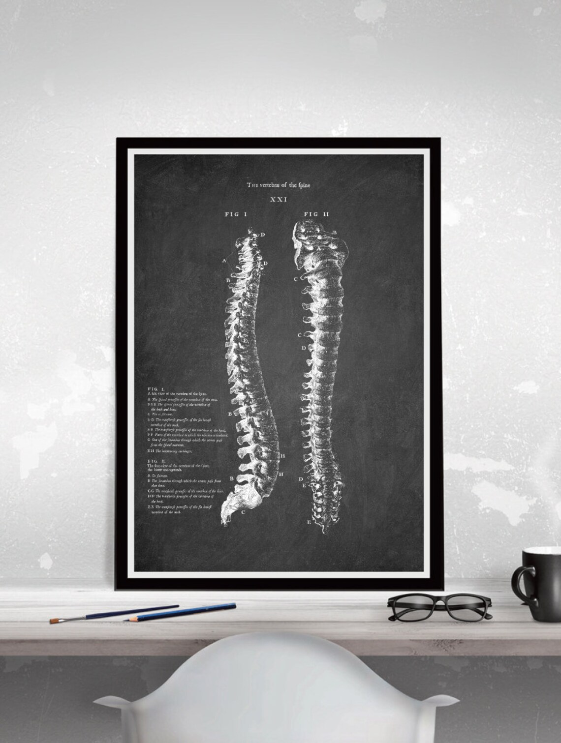 Anatomy Set of 3 Posters, Bones of the Trunk Poster, Spine Drawing Art ...