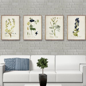 Vintage BOTANICAL 4 print set, Minimalist Botanical 4 poster set, Blue Botanical Watercolor Artwork, Vintage Botanical wall decor [23a25-28]
