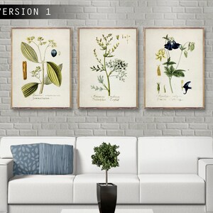 Ensemble de 3 affiches botaniques vintage, estampes botaniques vintage bleues, affiche d'armoise, décoration murale botanique, aquarelle botanique [V1 ou V2 ou V3]