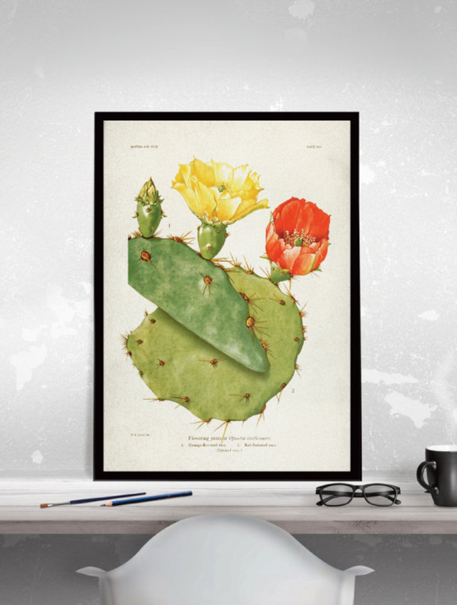 Vintage CACTUS Art Poster Cactus Poster Vintage Cactus Art Etsy