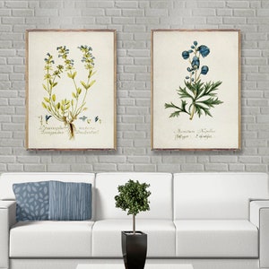 BOTANICAL Vintage 2 poster set, Blue Vintage botanical prints, Minimalist Flower posters, Botanical wall decor, Botanical watercolor [24-27]
