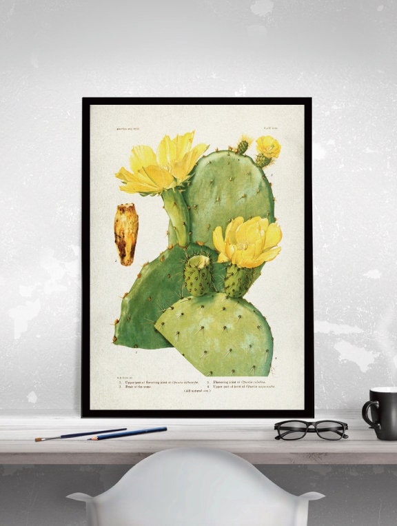 CACTUS Art Print Cactus Poster Art Vintage Cactus Art | Etsy