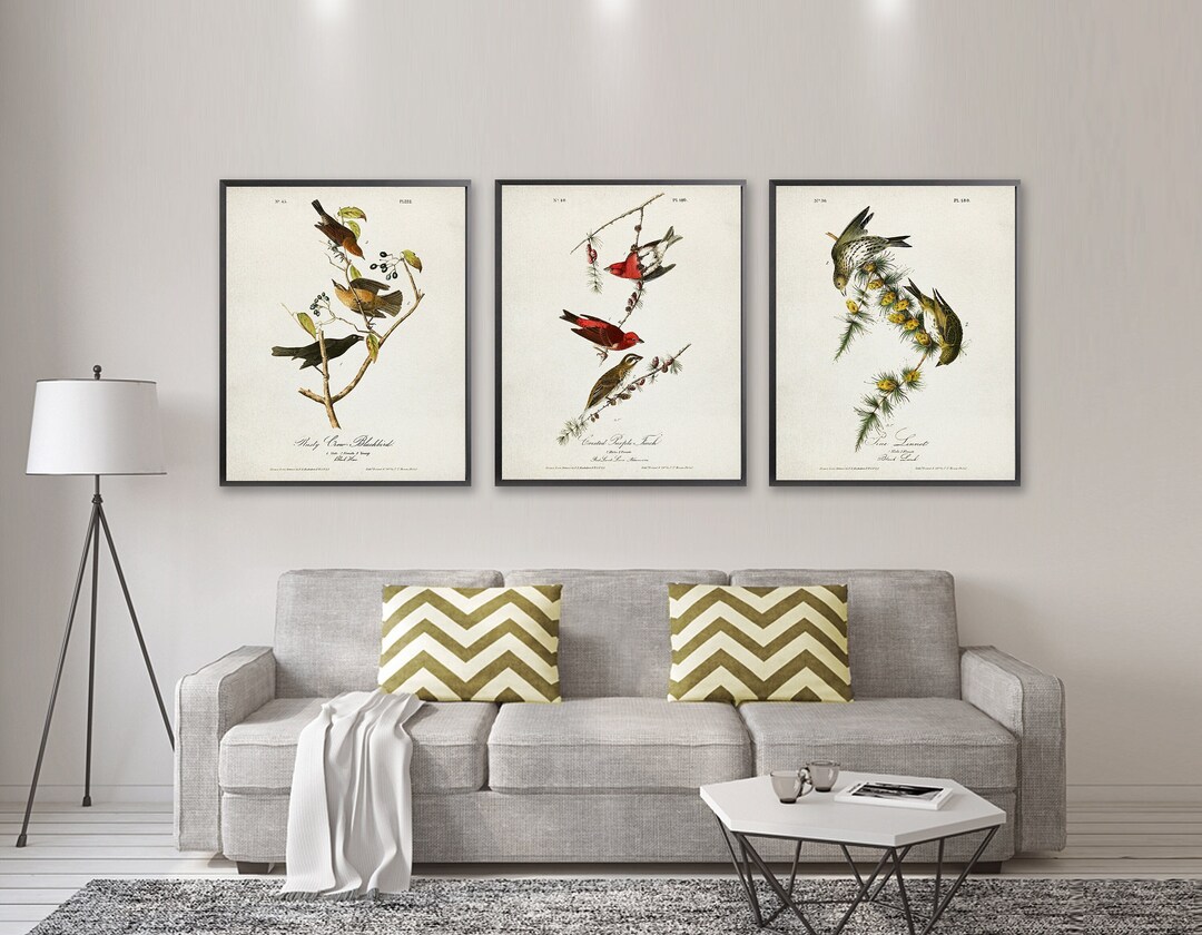 Artery8 Geburtstagskarte Vögel & Insekten – Audubon-Stil Dschungelmotiv – 17,5x12,5 Cm – Mit Umschlag