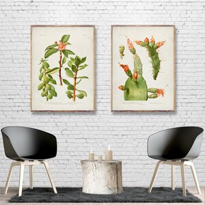 CACTUS minimalist 2 print set, Cactus posters, Vintage Cactus Art, Tropical Cactus posters, Cactus theme wall decor, Cactus watercolor [1-2]
