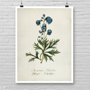 Impression botanique bleue, art botanique bleu vintage, impression botanique aquarelle, décoration de maison de ferme, art mural botanique, décoration de chambre botanique [27]