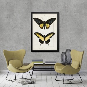 Vintage Butterfly illustration poster, Yellow Butterfly Wall art print, entomology poster, Butterfly wall decor, Butterfly watercolor art [3