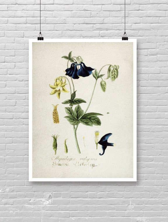 Vintage Blue BOTANICAL 6 Poster Set, Botanical 6 Print Set