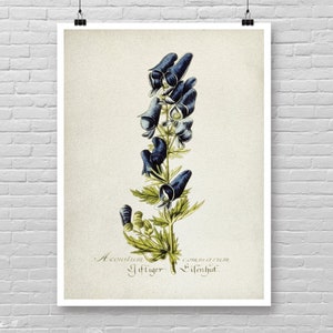 Impression botanique bleue, art botanique bleu vintage, impression botanique aquarelle, décoration de maison de ferme, art mural botanique, décoration de chambre botanique [23]
