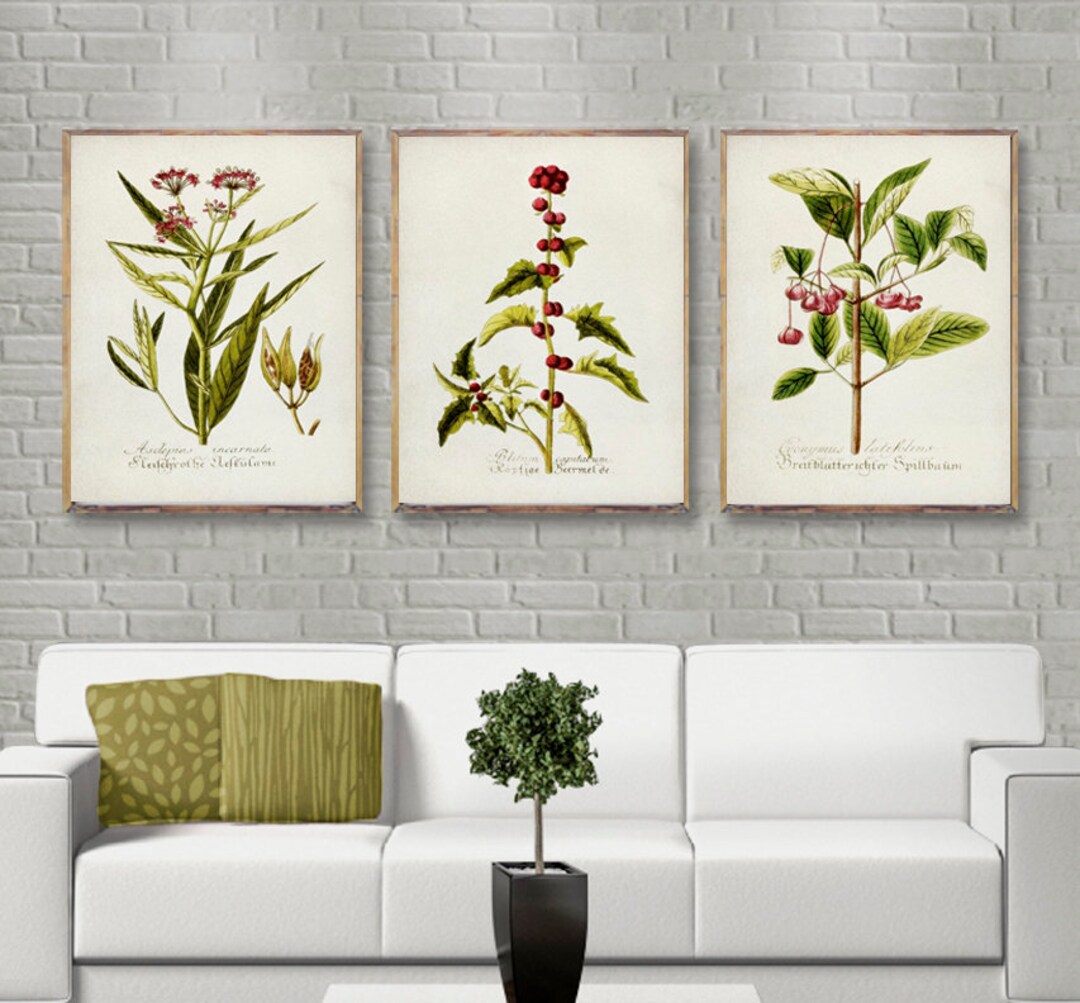 Vintage Botanical 3 Poster Set, Burgundy Vintage Botanical Prints ...