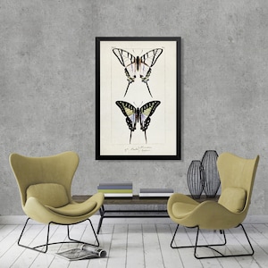 Impresión de ilustración vintage de MARIPOSA, impresiones de entomología, póster de arte de pared de mariposa, impresión de arte de pared de mariposa, arte de acuarela de mariposa [2]