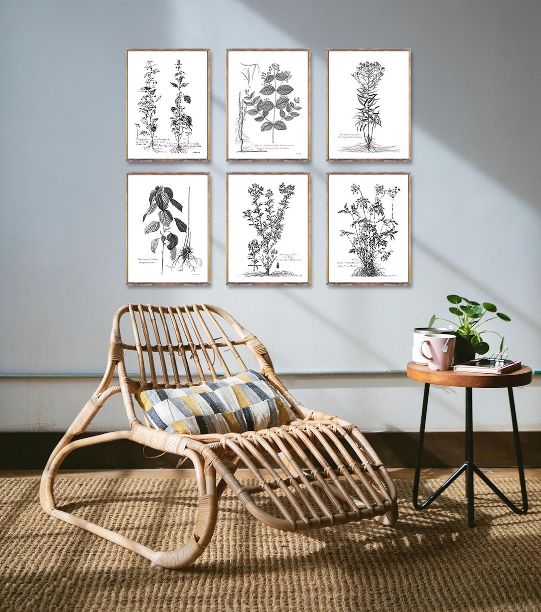 Vintage BOTANICAL 6 Poster Set, Botanical 6 Print Set, Botanical ...