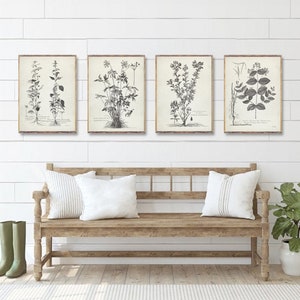 Vintage Botanical 4 print set, Minimalist botanical art prints, Flower drawing poster, Botanical Plant prints, Vintage Botanical wall decor