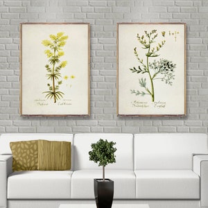 Vintage BOTANICAL 2 poster set, Vintage botanical prints, Minimalist Artemisia posters, Botanical wall decor, Botanical watercolor [22 b-28]