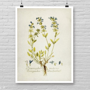 Impression botanique bleue, art botanique bleu vintage, impression botanique aquarelle, décoration de maison de ferme, art mural botanique, décoration de chambre botanique [24]