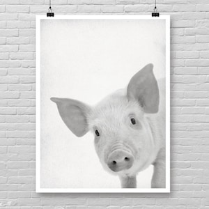 Baby PIG Poster, Baby Pig photo print, Farm animal theme print, Cute baby pig face poster, Farm baby Animal wall decor, Nursery room decor