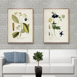 BOTANICAL Vintage 2 poster set, Blue Vintage botanical prints, Minimalist Flower posters, Botanical wall decor, Botanical watercolor [22-25]
