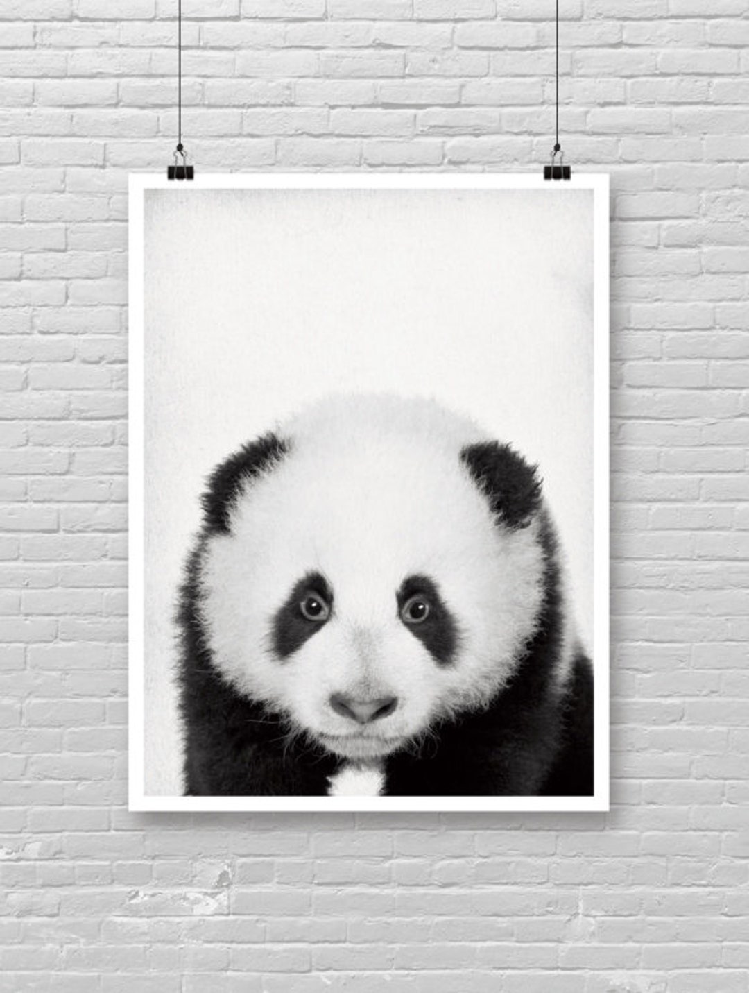Baby PANDA Print, Baby Panda Poster Nursery Decor, Jungle Theme Print, Cute Baby Panda Face ...