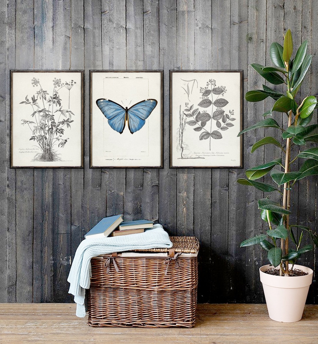Vintage Botanical and Butterfly 3 Poster Set, Minimalist Botanical and ...