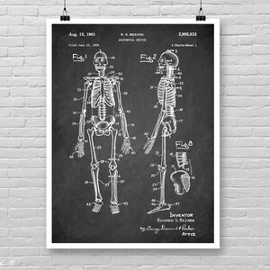 SKELETON Patent poster, ANATOMY patent print, Anatomy art print, Skeleton detail chart Anatomical Skeleton patent print, Medical patent