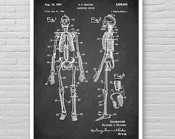 SKELETON Patent poster, ANATOMY patent print, Anatomy art print, Skeleton detail chart Anatomical Skeleton patent print, Medical patent