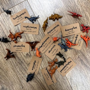 Boucles d'oreilles dinosaures faites main (avec une fiche d'information amusante !)