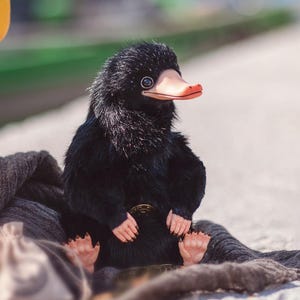 Black Platypus Art doll, Magical Gift , fantastic animals, unique birthday Gift