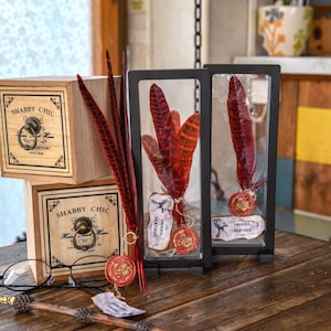 Plumes de phénix, coffret cadeau magique, HP, cadeau de Noël, cadeau unique