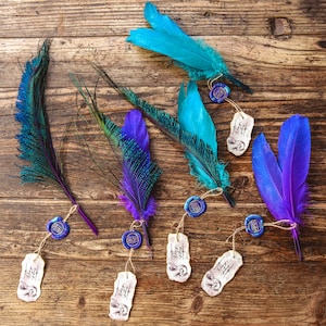 Ocamy Federn Set, magisches Geschenkset, Harry Potter Fan, Weihnachtsgeschenk, Hogwarts, einzigartiges Geschenk