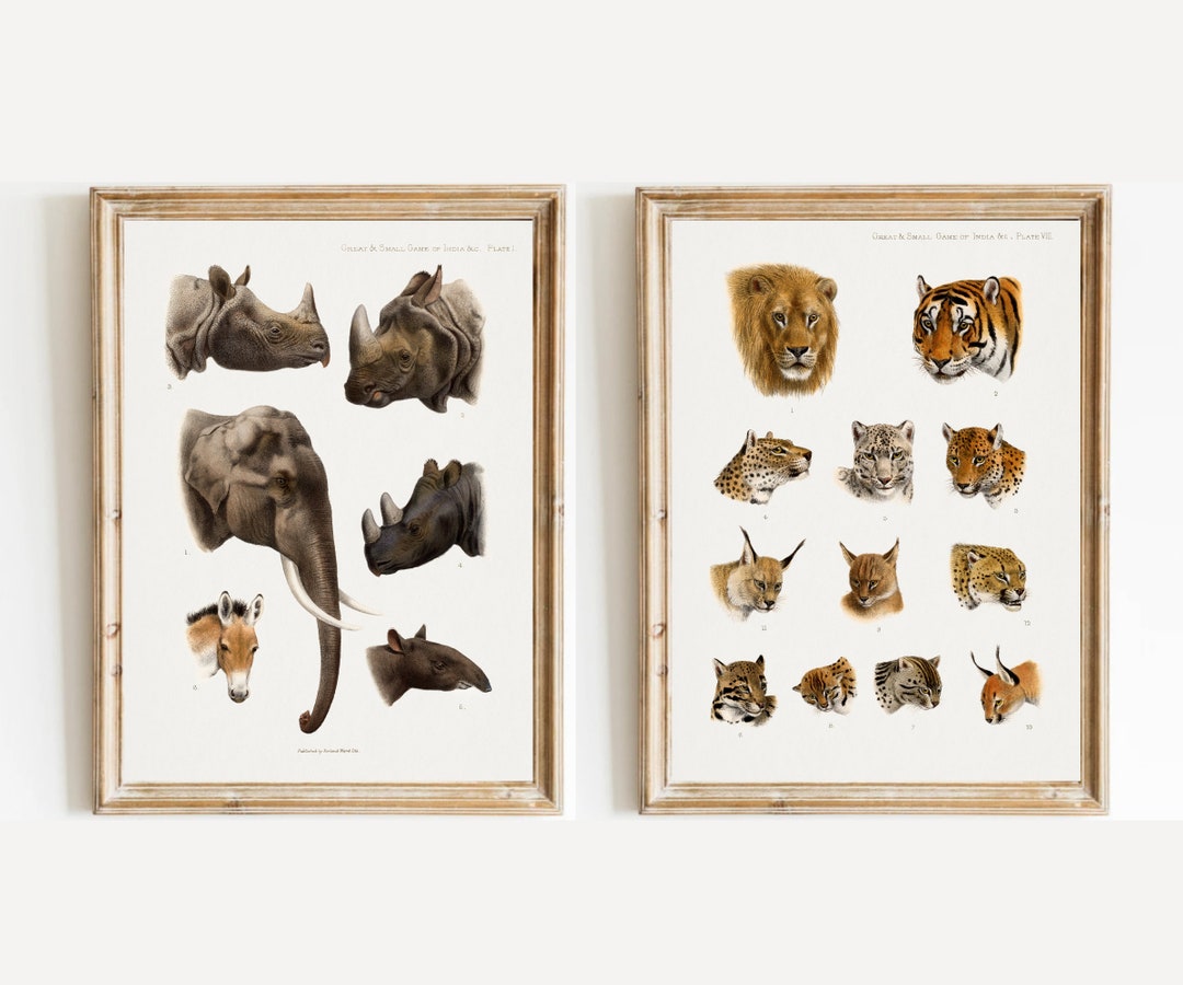 Vintage Animal Portraits Paintings Set of 2 Safari Animal Etsy