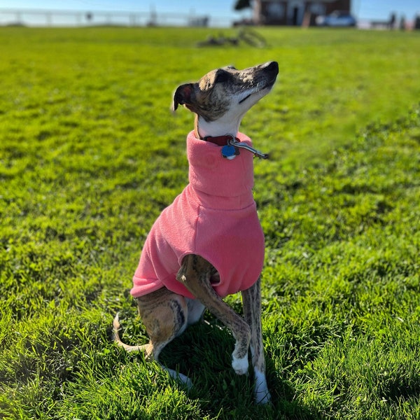 Shades of Blues and Pinks Fleece Whippet Pullover