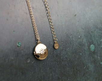 Shooting Star Locket- Crafted in sterling silver and coated in thick 9ct gold.  40cm chain with 5 cm extender chain.