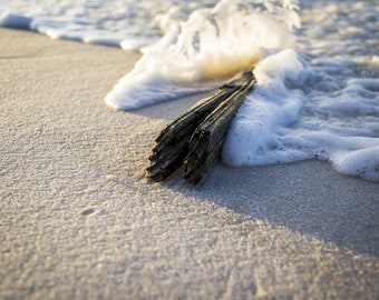 30A Beach Art, Grayton Beach, Seaside Florida, Driftwood Photography, Beach Decor