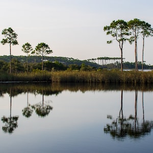Western Lake, 30A, Grayton Beach, sunrise, Florida, Beach, Seaside