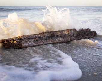 Driftwood Photography, Sanibel Island, Beach Decor