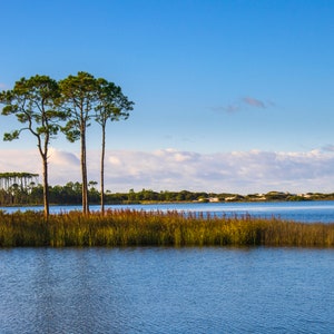 30A Western Lake, 30A, impression de plage, Western Lake, bord de mer, Floride, plage, photographie de plage, téléchargement numérique