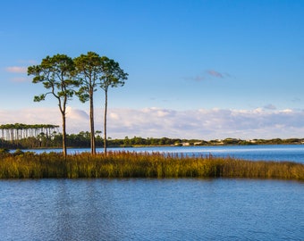 30A Western Lake, 30A, Beach Print, Western Lake, Seaside, Florida, Beach, Beach Photography, Digitial Download