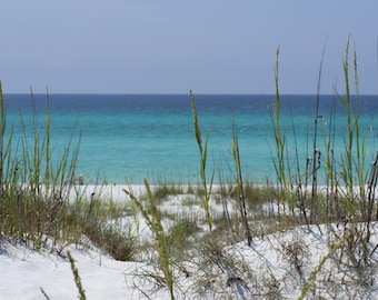 30A Florida, Seaside, Grayton Beach, Beach, Beach Photography, Sand, Water, Tropical, Digital Download